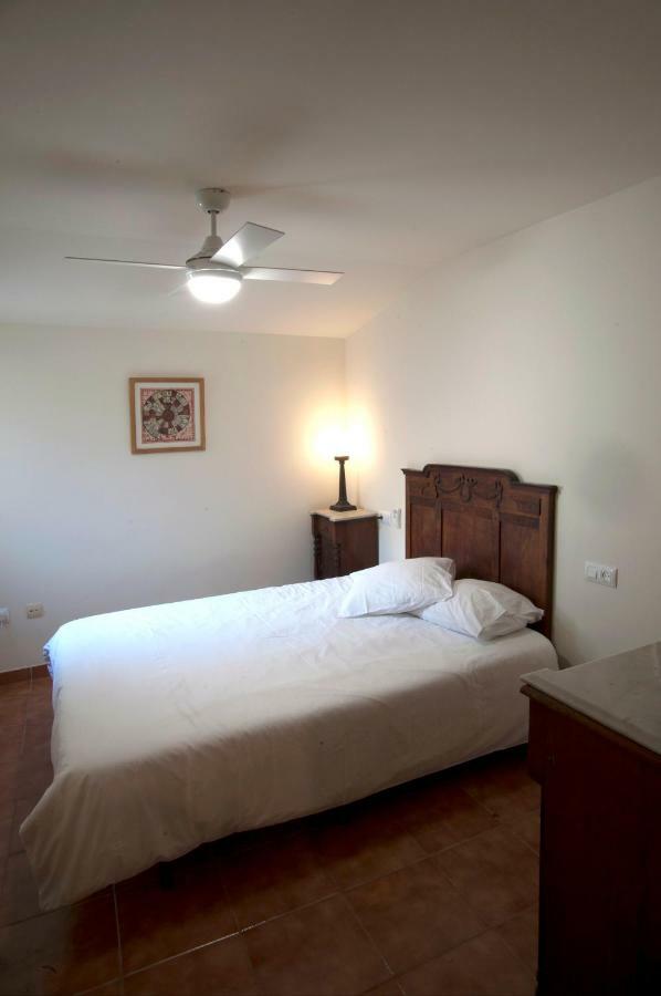 Atico Del Holandes Apartment Balaguer Exterior photo